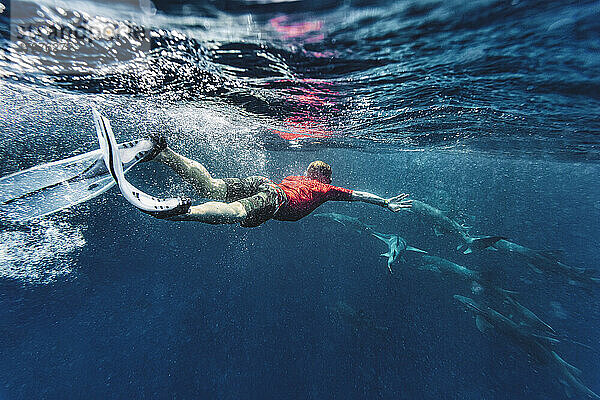 Mann schwimmt mit Haien im Meer