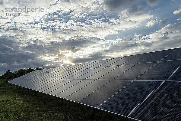 Solar panels on field at sunset