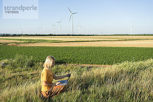 Freiberufler sitzt mit Laptop auf einem Feld mit Windkraftanlagen im Hintergrund