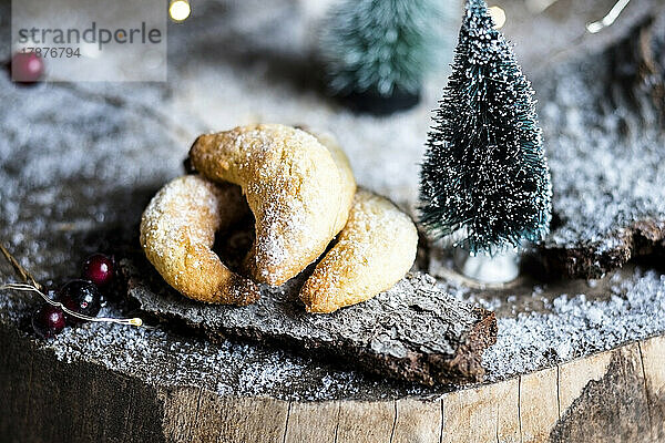 Studio shot of vanilla cookies and Christmas decorations