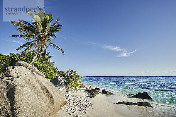 Seychellen  La Digue  tropischer Strand im Sommer