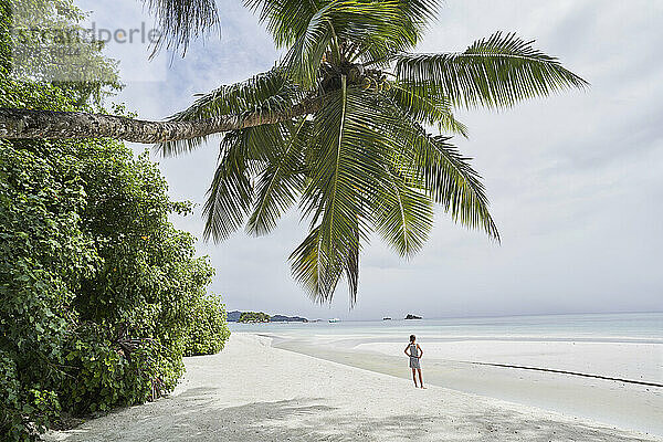 Seychellen  Praslin  Mädchen steht allein am Strand mit Palme im Vordergrund