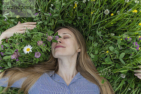 Lächelnde reife Frau  die Blumen riecht  die auf dem Gras auf dem Feld liegen