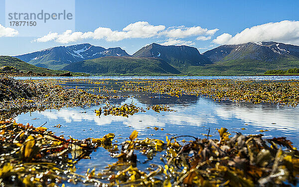 Norwegen  Nordland  Küste der Insel Langoya