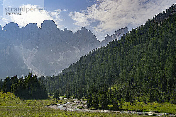 Malerische Landschaft mit Bäumen und Bergkette im Park Pale di San Martino  Trentino  Italien