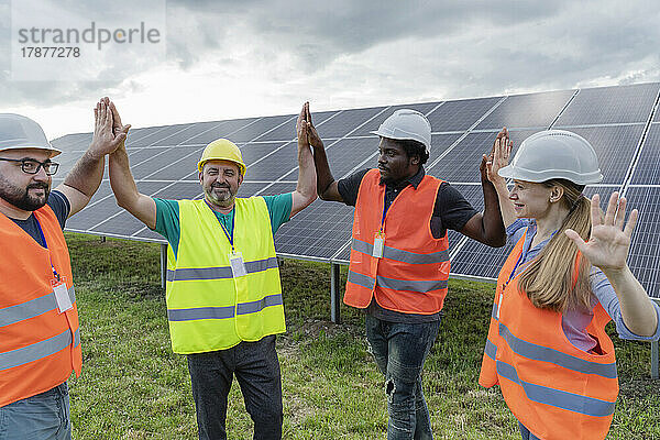 Lächelnde Ingenieure feiern High-Five und stehen vor Solarpaneelen auf dem Feld