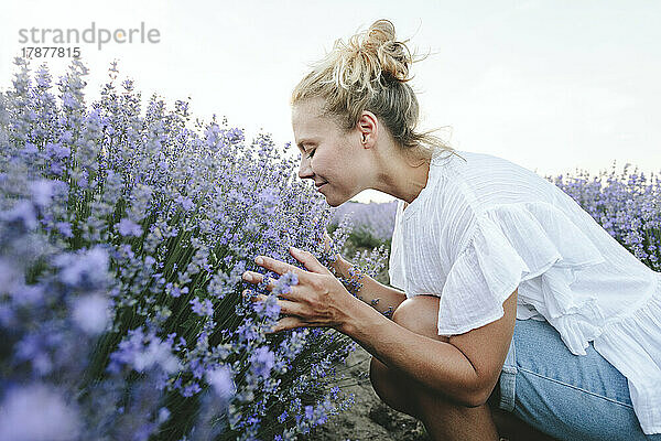 Glückliche Frau riecht Lavendelpflanzen im Feld