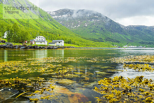 Norwegen  Troms und Finnmark  Bergsfjord  malerische Küste des Bergsfjords