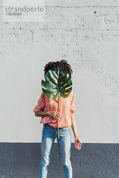 Junge Frau bedeckt Gesicht mit Monstera-Blatt vor der Wand