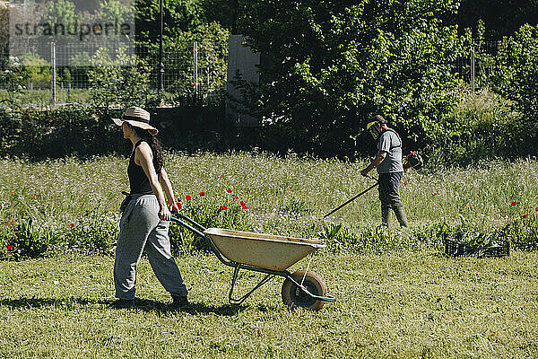 Bauer zieht Schubkarre mit Kollegen  der an einem sonnigen Tag auf dem Feld arbeitet