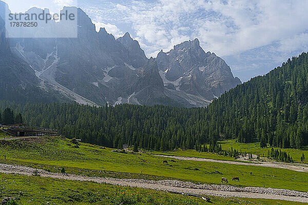 Malerische Landschaft mit Bergkette im Hintergrund im Pale di San Martino Park  Trentino  Italien