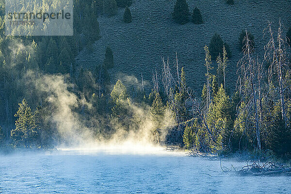 USA  Idaho  Stanley  Nebel über dem Salmon River an einem kalten Morgen in der Nähe von Sun Valley