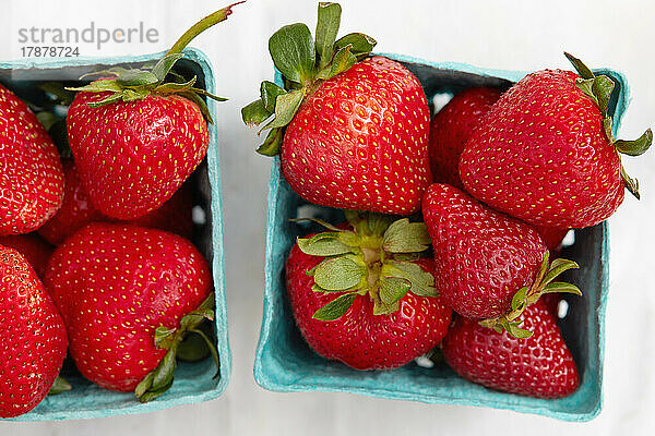 Studioaufnahme von Erdbeeren im Karton