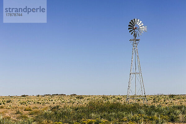 Vereinigte Staaten  New Mexico  Endee  rustikale alte Windmühle