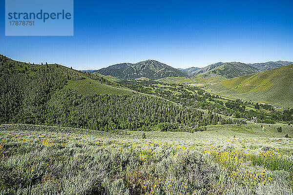 USA  Idaho  Bald Mountain vom Proctor Loop Trail im Sun Valley aus gesehen