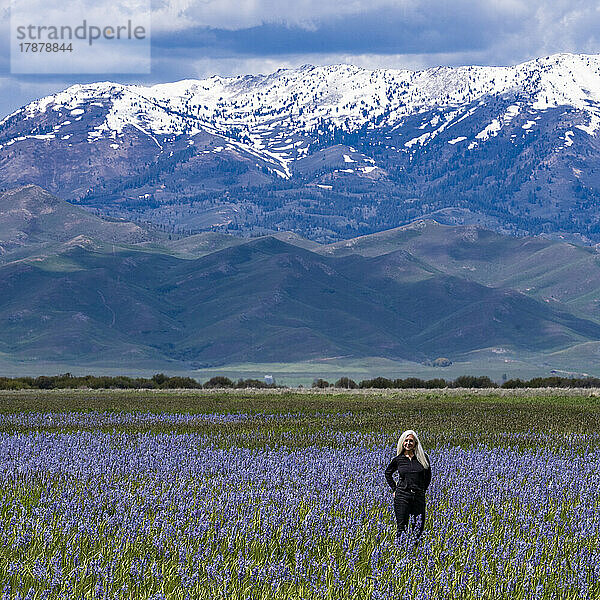 Vereinigte Staaten  Idaho  Fairfield  Ältere Frau steht im Feld der Camas-Lilien mit Soldier Mountain im Hintergrund