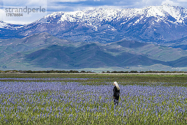 Vereinigte Staaten  Idaho  Fairfield  Ältere Frau steht im Feld der Camas-Lilien Soldier Mountain im Hintergrund