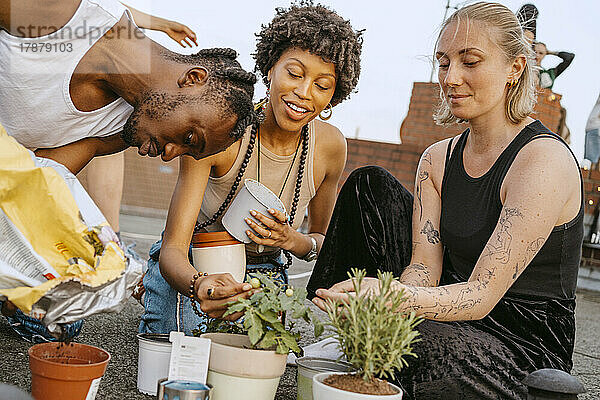 Junge Frauen mit Mann pflanzen Topfpflanzen auf dem Dach