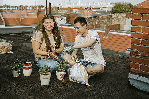 Männliche und weibliche Freunde sitzen mit Topfpflanzen auf einer Dachterrasse