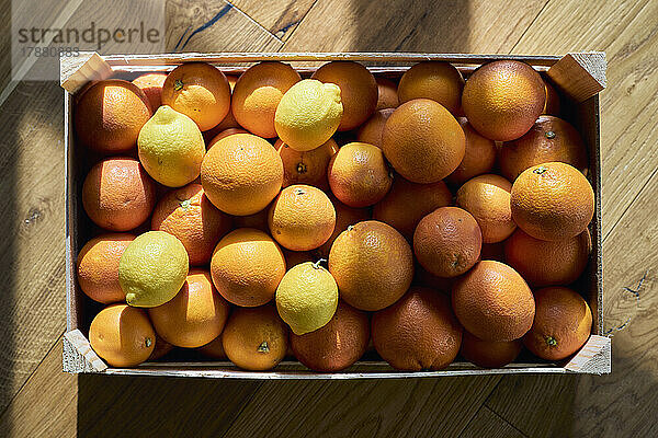 Blick von oben auf Stillleben mit frischen Zitronen und Orangen in einer Kiste