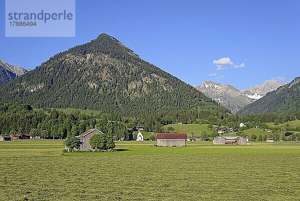 Ausblick von den Lorettowiesen zur Heuernte und auf den Berg Schattenberg 1721m  Oberstdorf  Allgäuer Alpen  Allgäu  Bayern