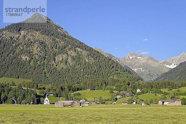 Ausblick von den Lorettowiesen zur Heuernte und auf den Berg Schattenberg 1721m  Oberstdorf  Allgäuer Alpen  Allgäu  Bayern