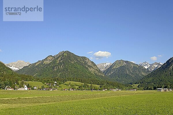 Ausblick von den Lorettowiesen zur Heuernte und auf die Berge Schattenberg 1721 m  Riefenkopf 1748 m  Oberstdorf  Allgäuer Alpen  Allgäu  Bayern