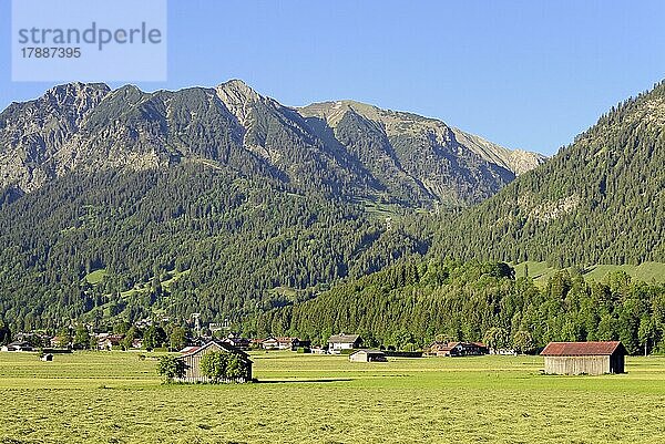 Ausblick von den Lorettowiesen zur Heuernte und auf die Berge bei Oberstdorf  Rubihorn 1937m  Gaisalphorn 1953m  Allgäuer Alpen  Allgäu  Bayern  Deutschland  Europa