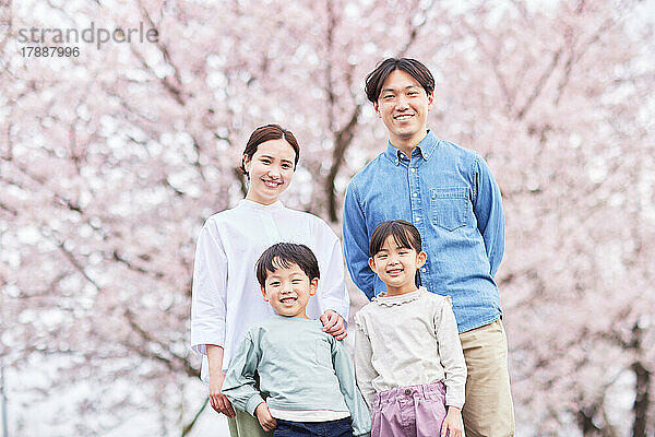 Japanische Familie mit blühenden Kirschblüten