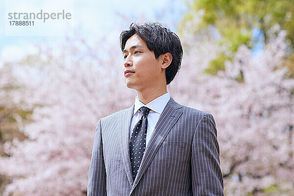 Japanisches Geschäftsmannporträt mit blühenden Kirschblüten