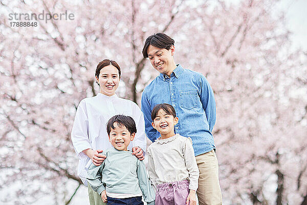 Japanische Familie mit blühenden Kirschblüten