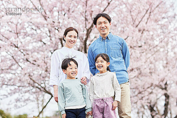 Japanische Familie mit blühenden Kirschblüten