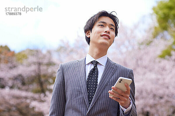 Japanischer Preis am Telefon und blühende Kirschblüten