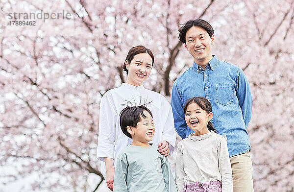 Japanische Familie mit blühenden Kirschblüten