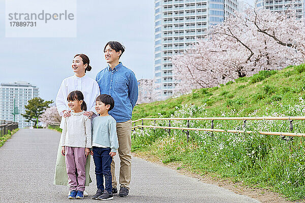 Japanische Familie mit blühenden Kirschblüten