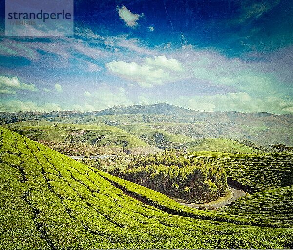 Vintage Retro-Hipster-Stil Reise Bild von Kerala Indien Reise Hintergrund  grünen Teeplantagen in Munnar  Kerala  Indien  Touristenattraktion mit Grunge-Textur überlagert  Asien