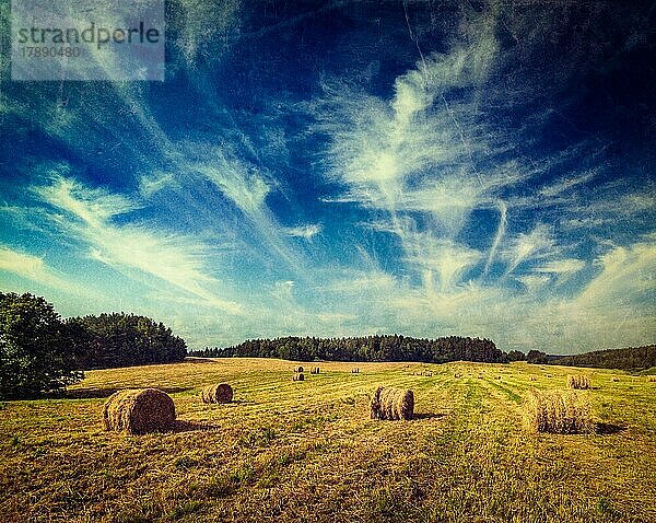 Vintage Retro-Hipster-Stil Reise Bild der Landwirtschaft Hintergrund  Heuballen auf dem Feld im Sommer mit Grunge-Textur überlagert