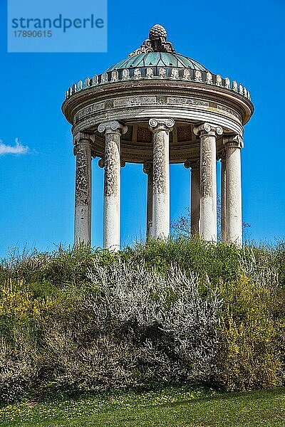 Monopteros  Tempel im griechischen Stil im Englischen Garten. München  Deutschland  Europa