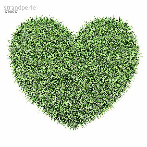 Ökologie Öko-Erhaltung Natur Liebe kreatives Konzept  grünes Herz aus Gras vor weißem Hintergrund