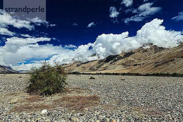 Himalaya-Landschaft im Nubra-Tal im Himalaya. Ladakh  Indien  Asien