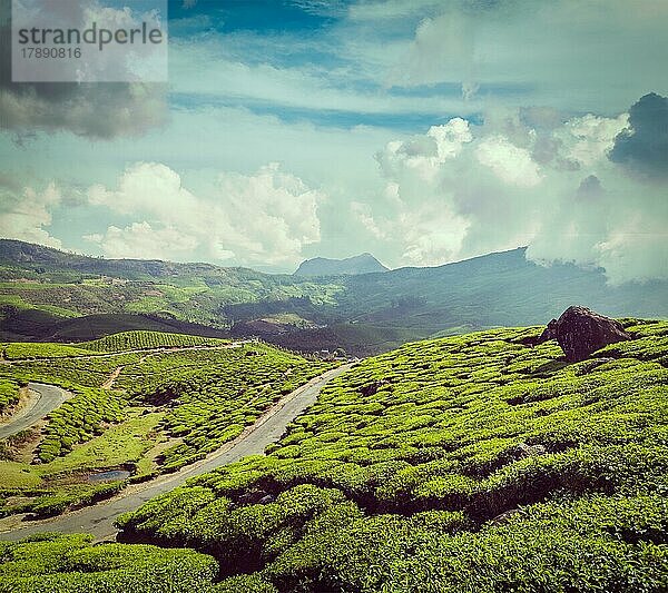 Vintage Retro Hipster-Stil Reise Bild von Kerala Indien Reise Hintergrund  Straße in grünen Teeplantagen in den Bergen in Munnar  Kerala  Indien  Asien