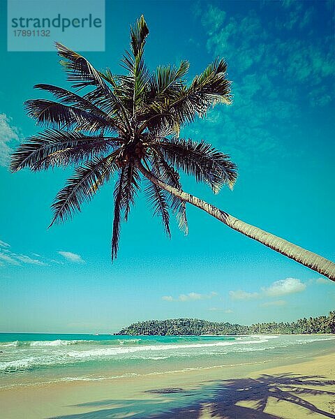 Vintage Retro-Hipster-Stil Reise Bild der tropischen Paradies idyllischen Strand mit Palme. Sri Lanka