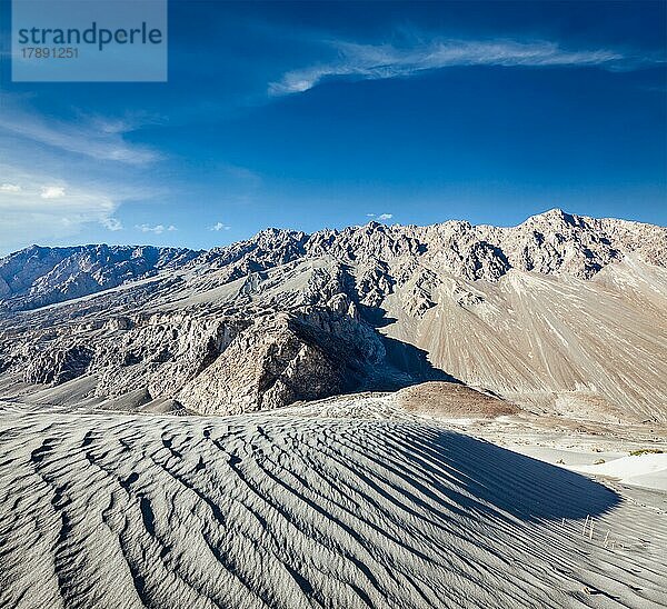 Sanddünen im Himalaya. Hunder  Nubra-Tal  Ladakh  Indien  Asien