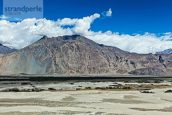 Nubra-Tal im Himalaya. Ladakh  Indien  Asien