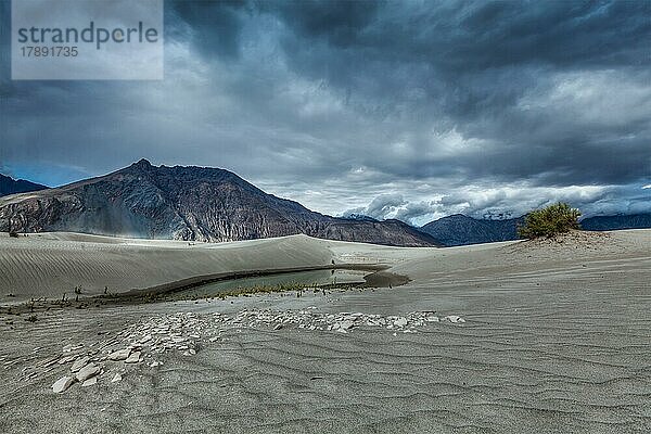 Bild mit hohem Dynamikumfang von Sanddünen im Himalaya. Hunder  Nubra-Tal  Ladakh  Indien  Asien