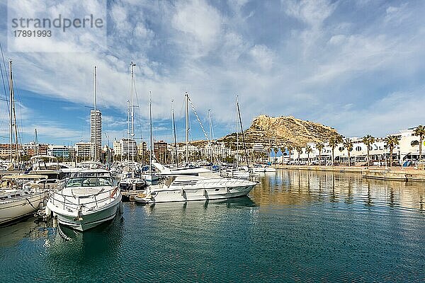 Hafen von Alicante Port dAlacant Marina mit Booten und Blick auf die Burg Castillo Urlaub Reise reisen Stadt in Alicante  Spanien  Europa