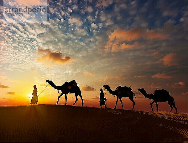 Rajasthan Reise Hintergrund  zwei indische Kamele (Kameltreiber) mit Kamelen Silhouetten in den Dünen der Wüste Thar bei Sonnenuntergang. Jaisalmer  Rajasthan  Indien  Asien