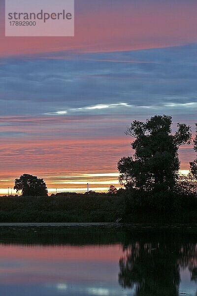 Lichtstimmung am Morgen an einem Altgewässer in der Elbaue  Biosphärenreservat Mittlere Elbe  Dessau-Roßlau  Sachsen-Anhalt  Deutschland  Europa