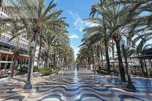 Alicante Alacant Boulevard Palmen Allee Esplanada dEspanya Urlaub Reise reisen Stadt in Alicante  Spanien  Europa