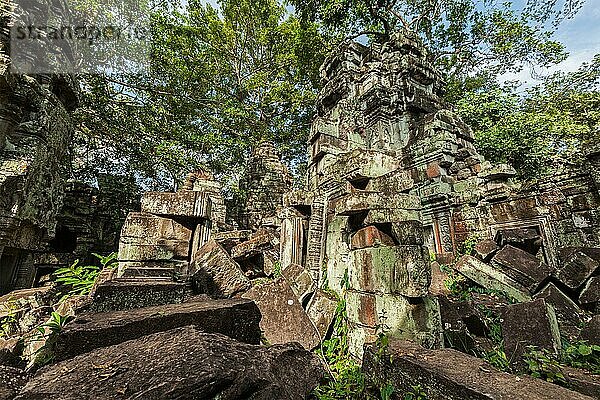 Reisen Kambodscha Konzept Hintergrund  alte Ruinen  Ta Prohm Tempel  Angkor  Kambodscha  Asien